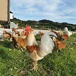 Κατάλυμα σε φάρμα Sunnhof