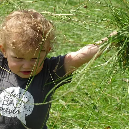 Sunnhof Farmház Oberhofen am Irrsee