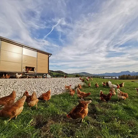 Sunnhof * Oberhofen am Irrsee