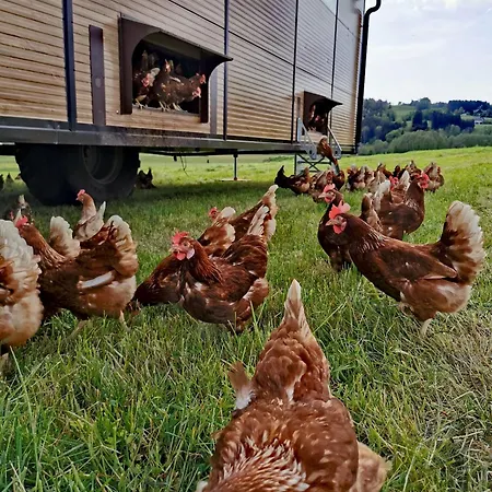 Alojamento de Turismo Rural Sunnhof *