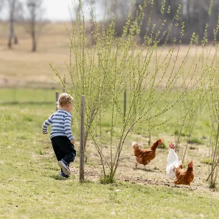 Sunnhof Alloggio per agriturismo Oberhofen am Irrsee