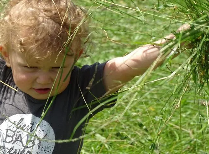 Sunnhof Фермерский дом Oberhofen am Irrsee