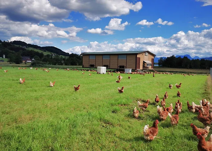 Фермерский дом Sunnhof