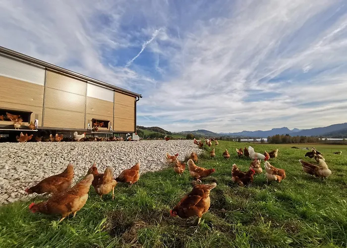 Sunnhof * Oberhofen am Irrsee