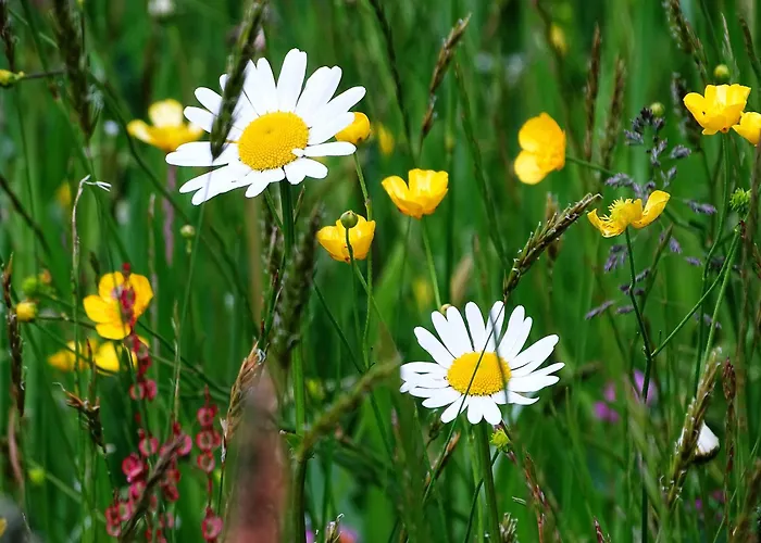 Фермерский дом Sunnhof