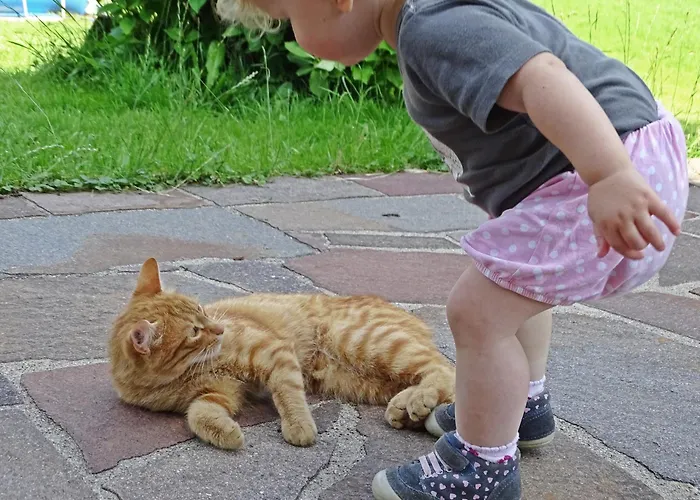 Sunnhof * Oberhofen am Irrsee