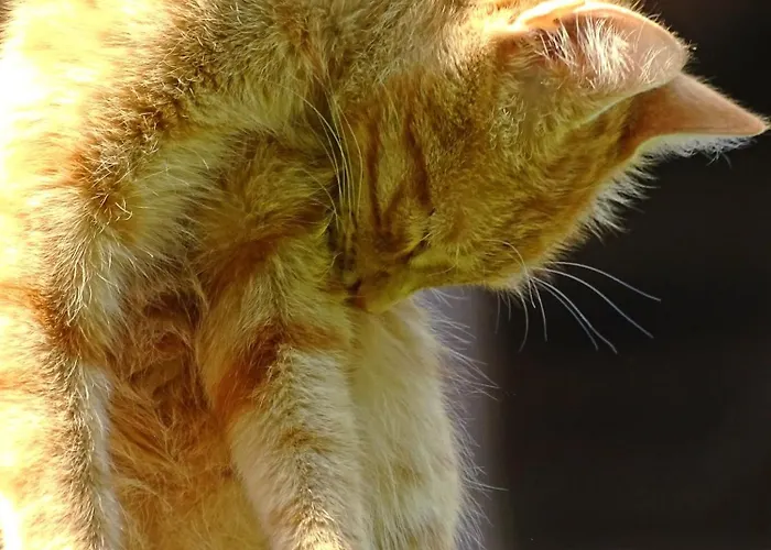 Фермерский дом Sunnhof