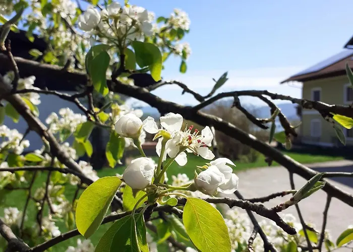 Фермерский дом Sunnhof