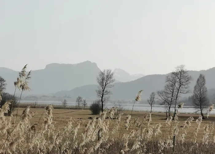 Фермерский дом Sunnhof *