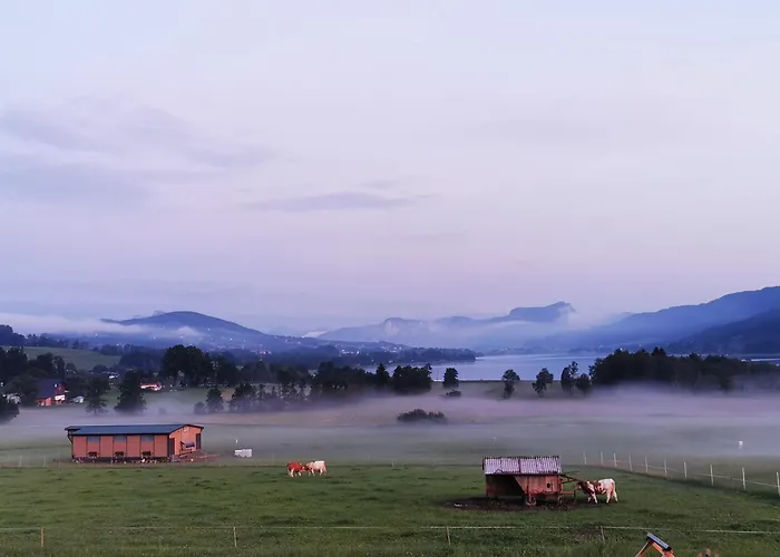 Sunnhof Фермерский дом